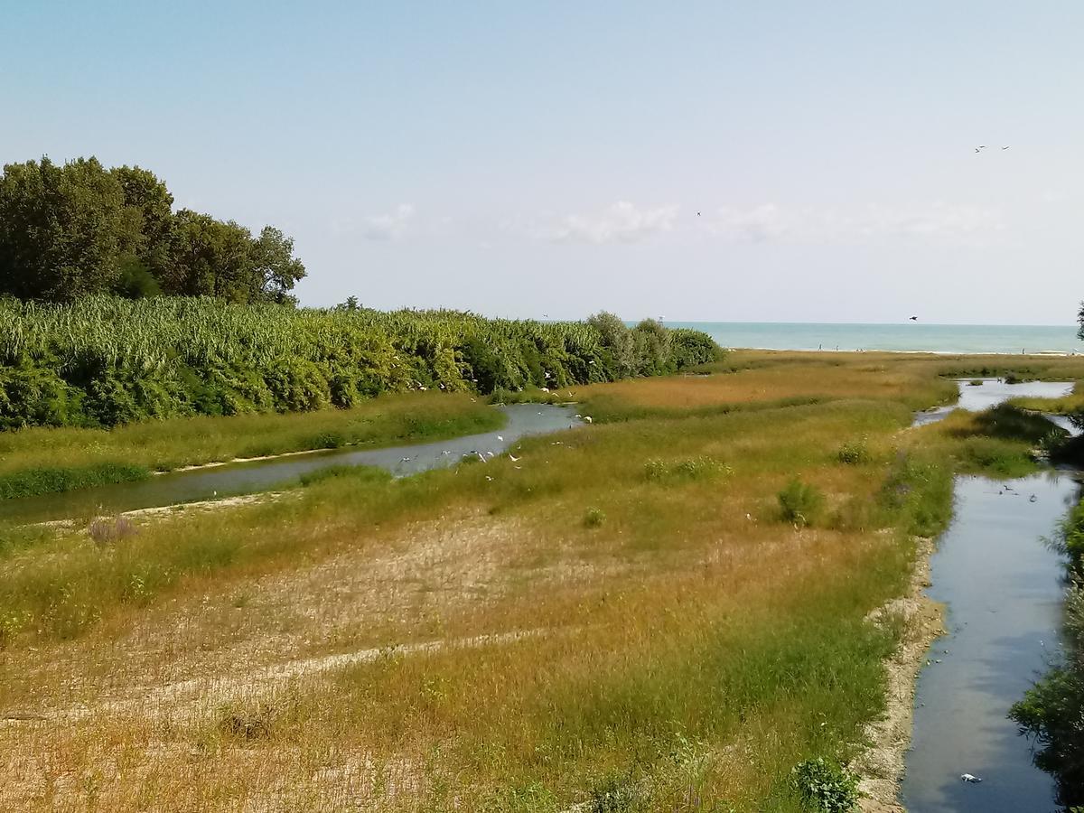 Ferienwohnung Residenza Corso Baccio SantʼElpidio a Mare Exterior foto